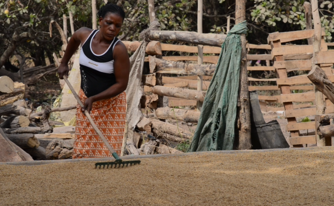La fili&egrave;re riz, illustration d&rsquo;un succ&egrave;s entrepreneurial f&eacute;minin