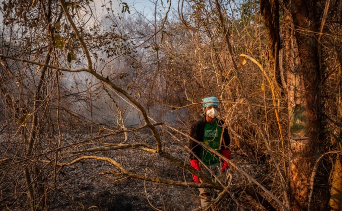 For&ecirc;t amazonienne de Bolivie&nbsp;: vos dons ont un impact r&eacute;el!