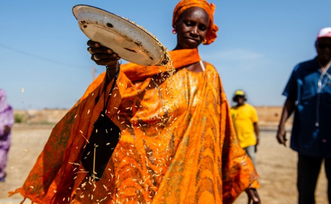 Le CECI-S&eacute;n&eacute;gal tourn&eacute; vers le d&eacute;veloppement agricole