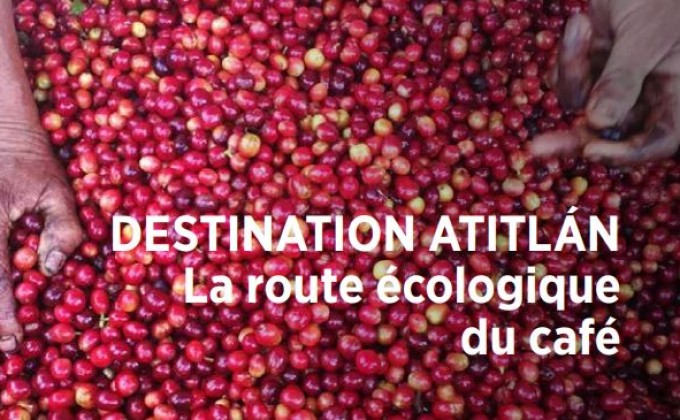 Publications