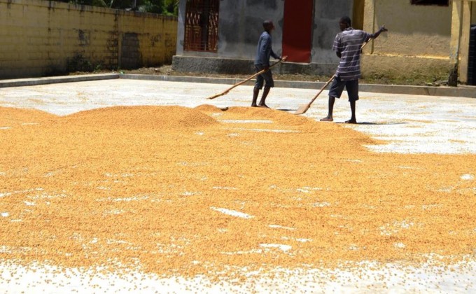 Une d&eacute;l&eacute;gation de l&rsquo;Alliance Agricole Internationale en visite dans la R&eacute;gion Nord d&rsquo;Ha&iuml;ti