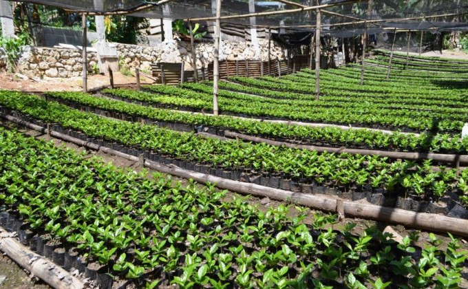 Une d&eacute;l&eacute;gation de l&rsquo;Alliance Agricole Internationale en visite dans la R&eacute;gion Nord d&rsquo;Ha&iuml;ti