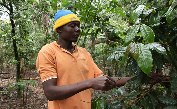 Travailler ensemble, main dans la main. Le bilan d&rsquo;une mission ha&iuml;tienne en sol canadien