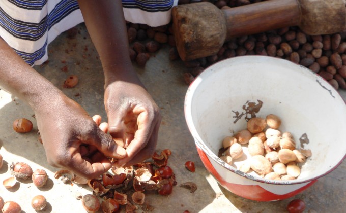 Communiqu&eacute; de presse : Le CECI re&ccedil;oit pr&egrave;s de 1 M$ du gouvernement du Qu&eacute;bec pour son projet au Burkina Faso