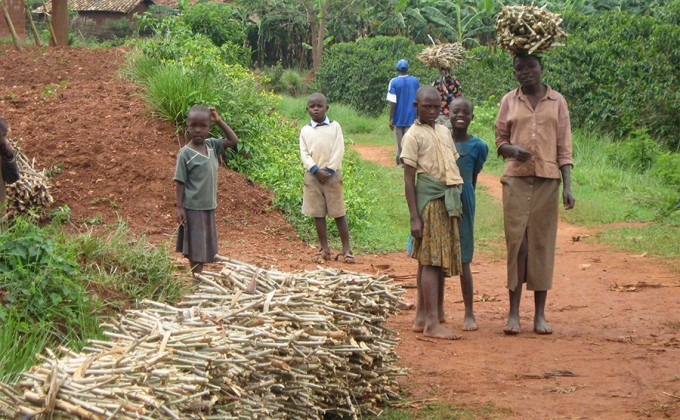 Rwanda, Burundi, R&eacute;publique d&eacute;mocratique du Congo