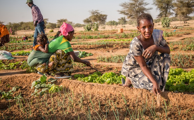 S&eacute;curit&eacute; alimentaire