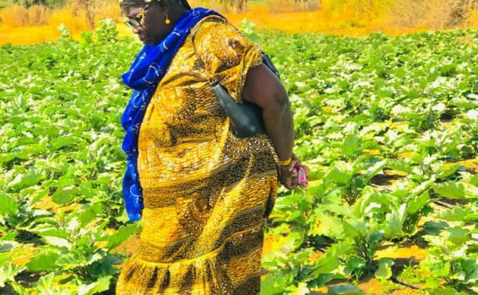 Les femmes vivant en milieu rural et l'acc&egrave;s aux ressources au S&eacute;n&eacute;gal